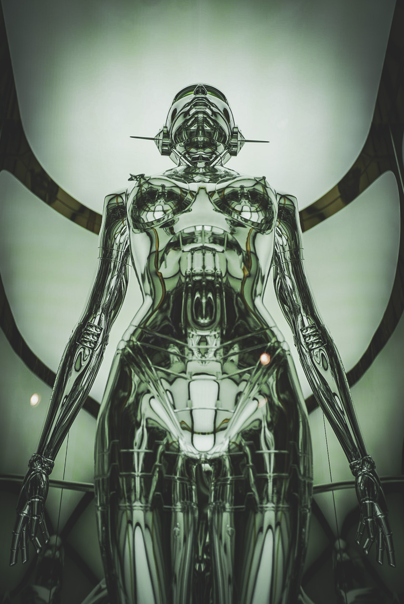 FORM — STUDY